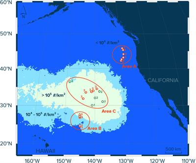 Relative Abundance of Floating Plastic Debris and Neuston in the Eastern North Pacific Ocean